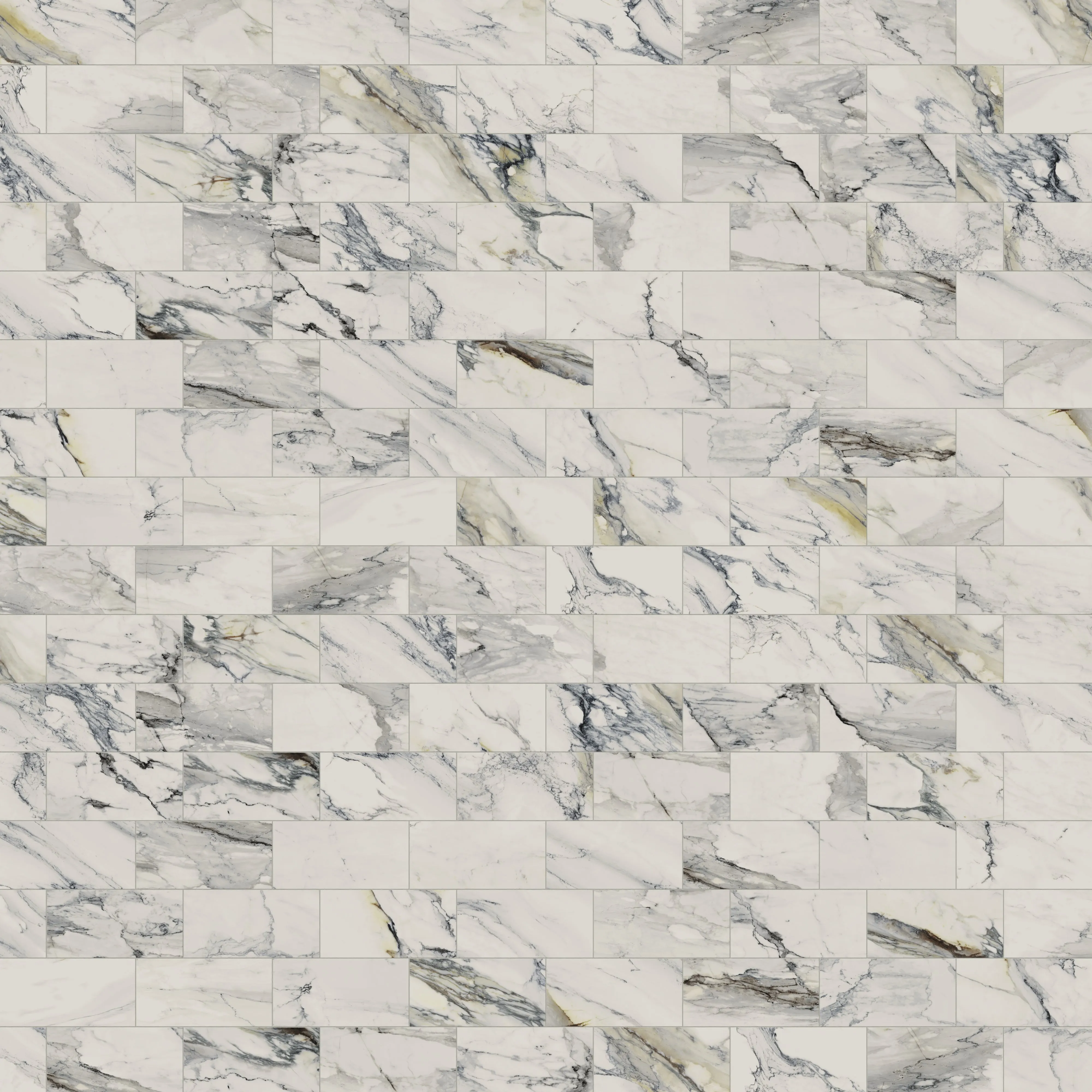 Aniston 12x24 Polished Porcelain Tile in Calacatta Antico