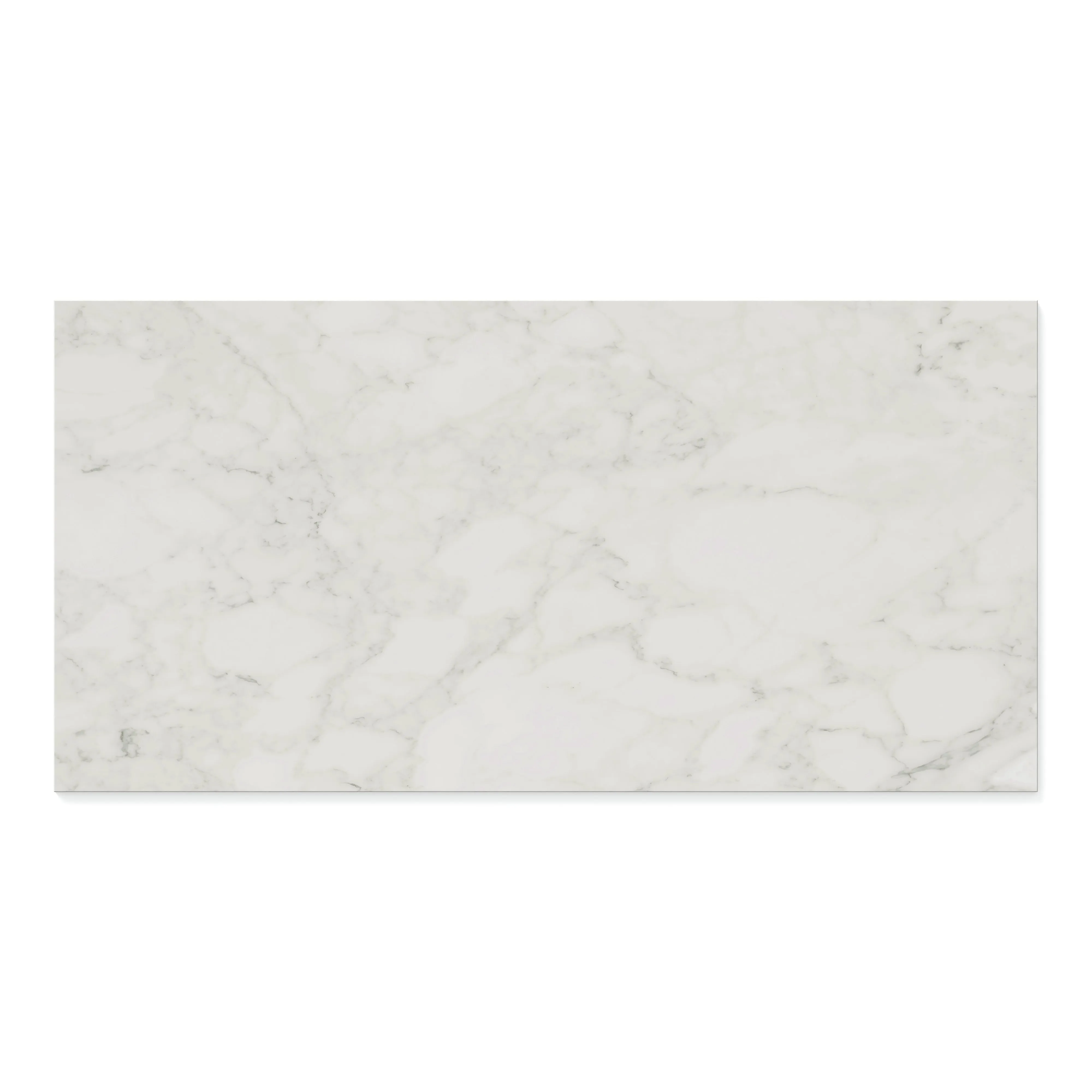 Aniston 24x48 Matte Porcelain Tile in Carrara Bianco