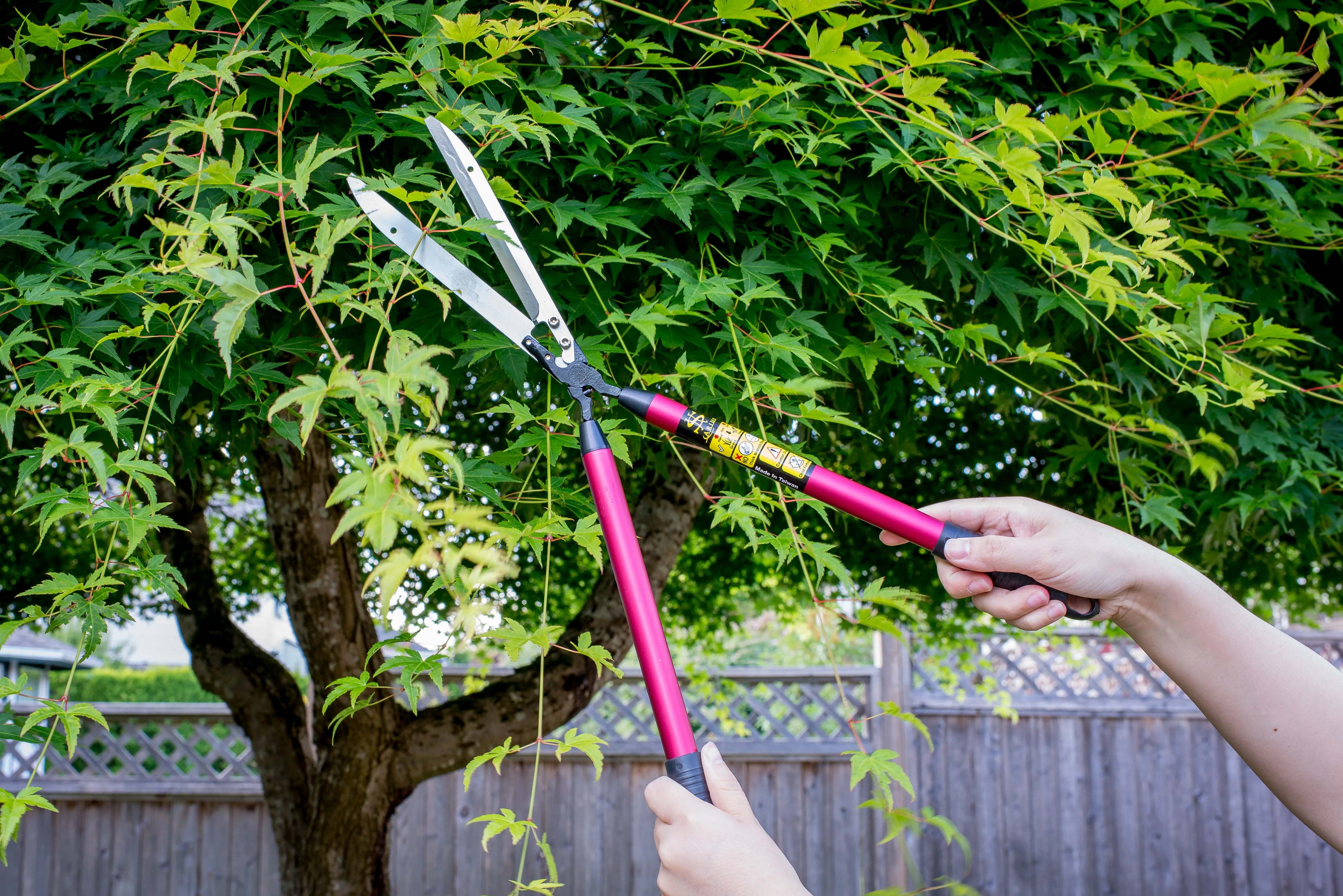 Arius Ultra-Light Hedge/Grass Shears