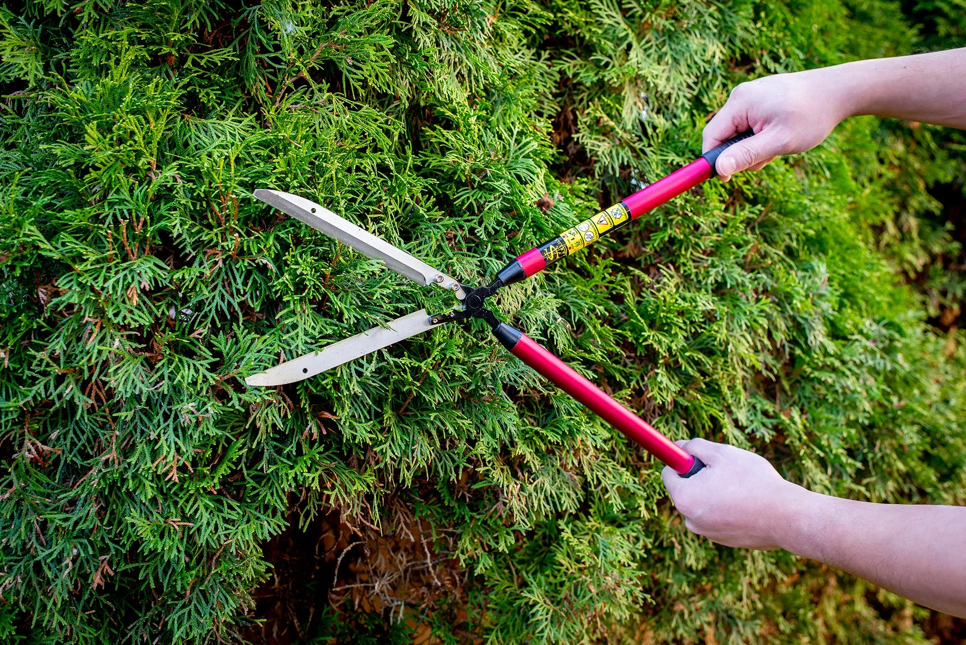 Arius Ultra-Light Hedge/Grass Shears