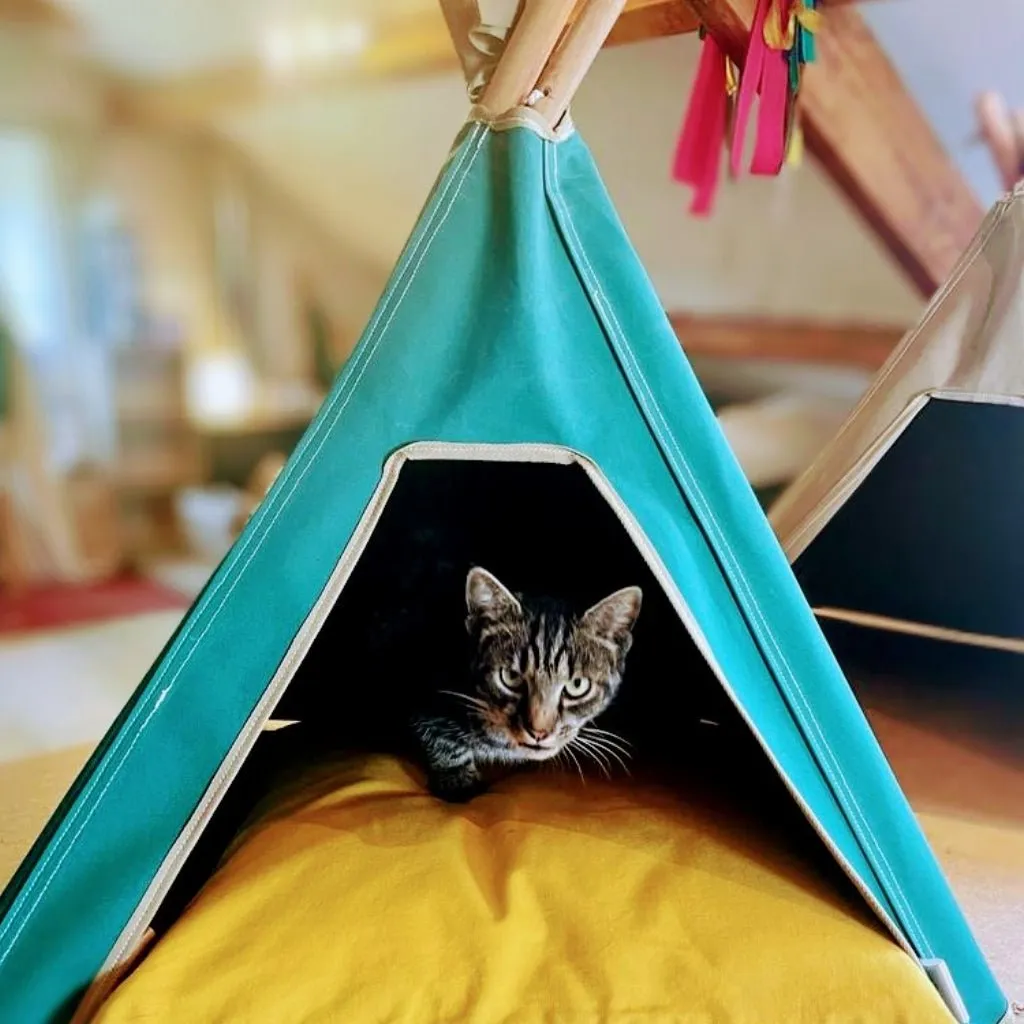 Cat Teepee Bed