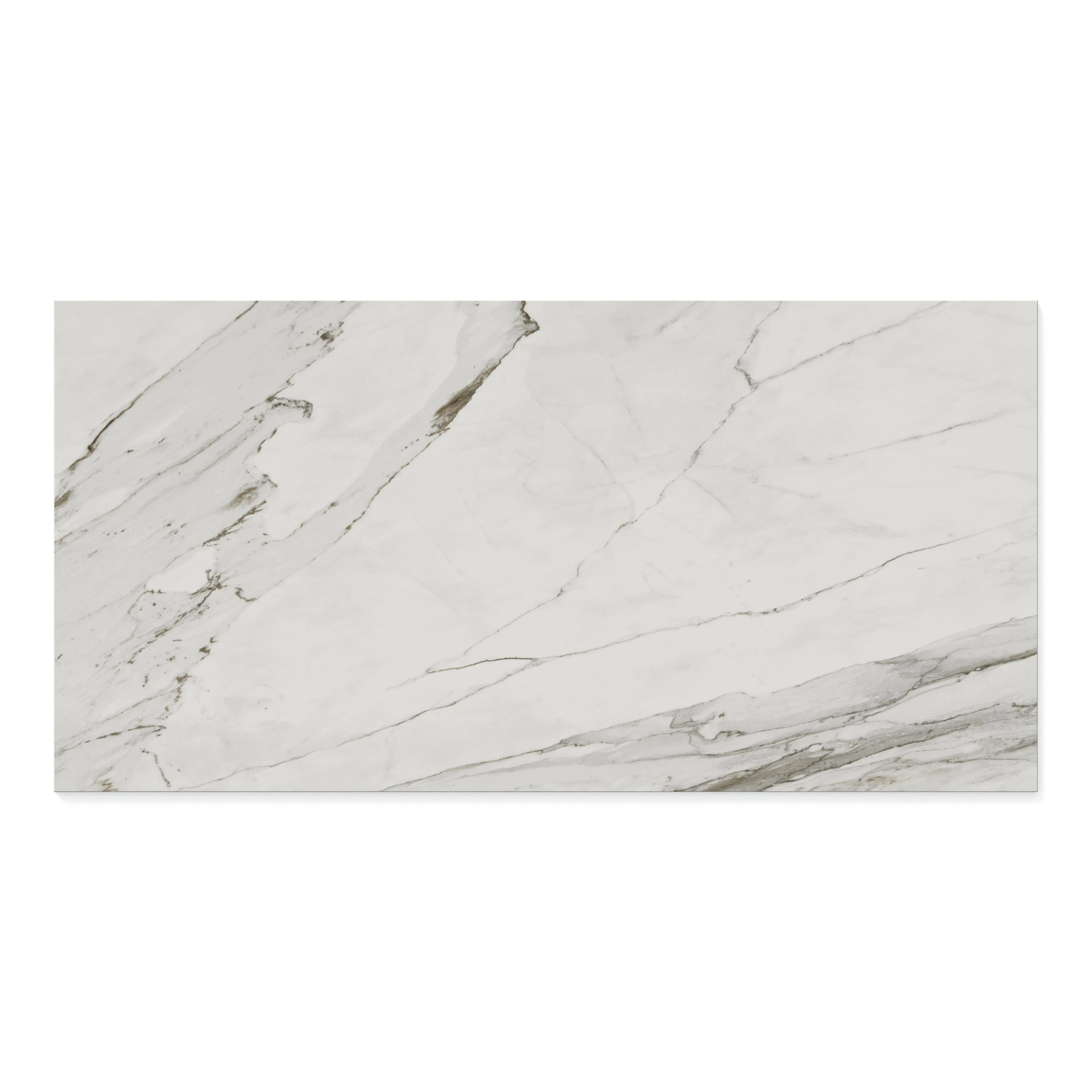 Chantel 24x48 Polished Porcelain Tile in Apuano