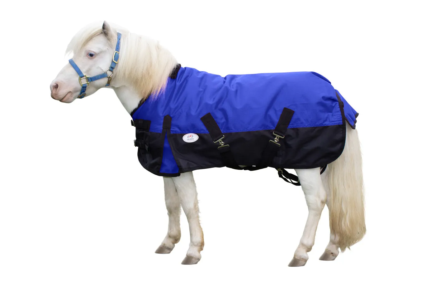 Derby Originals Classic 600D Medium Weight Waterproof Winter Mini Horse Pony Turnout Blanket 200g with 1 Year Warranty