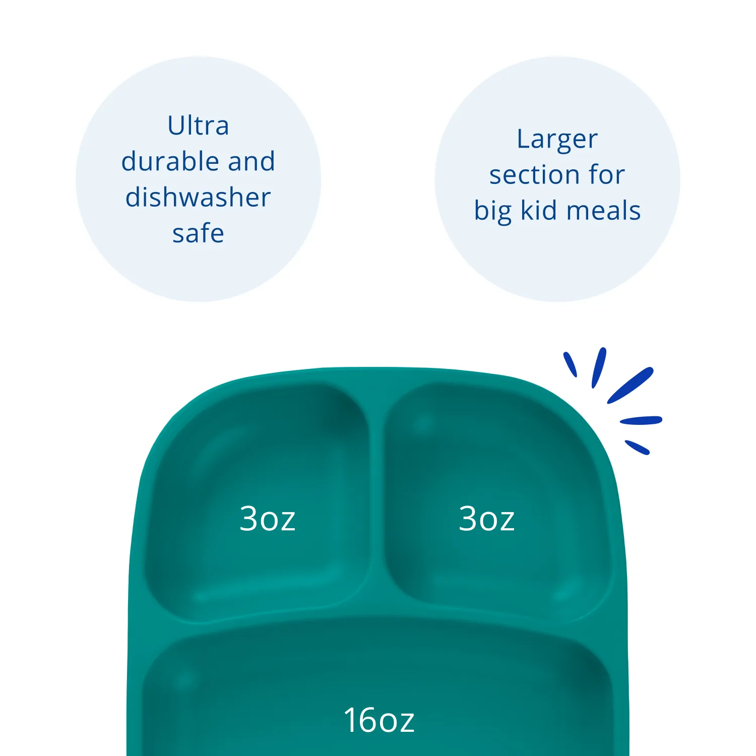 Divided Tray