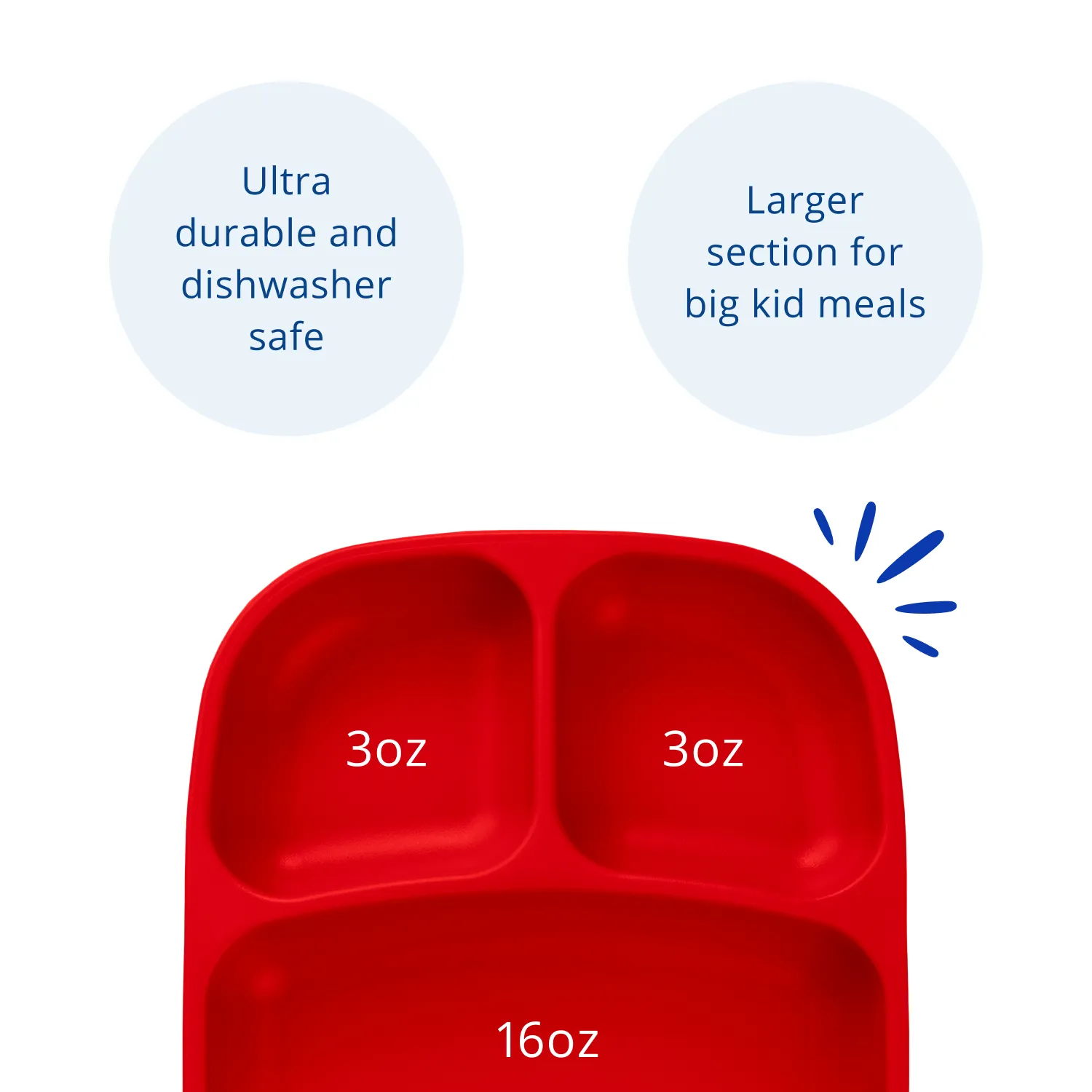 Divided Tray