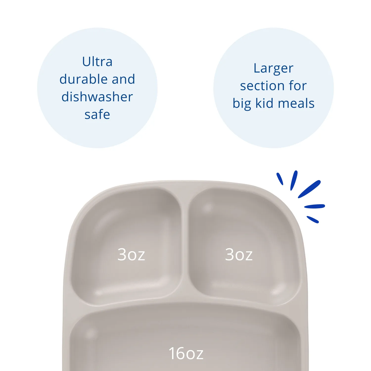 Divided Tray