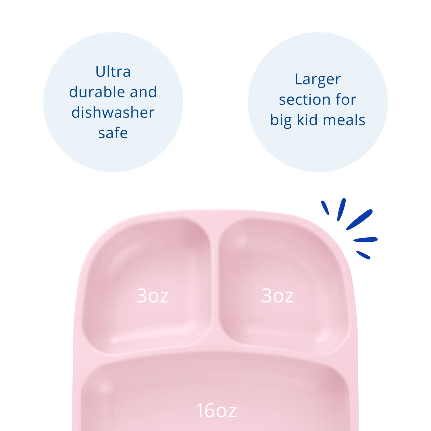 Divided Tray