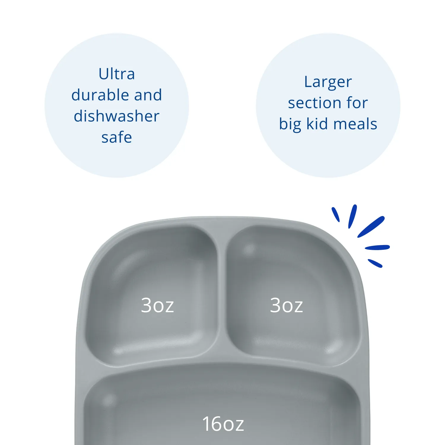 Divided Tray