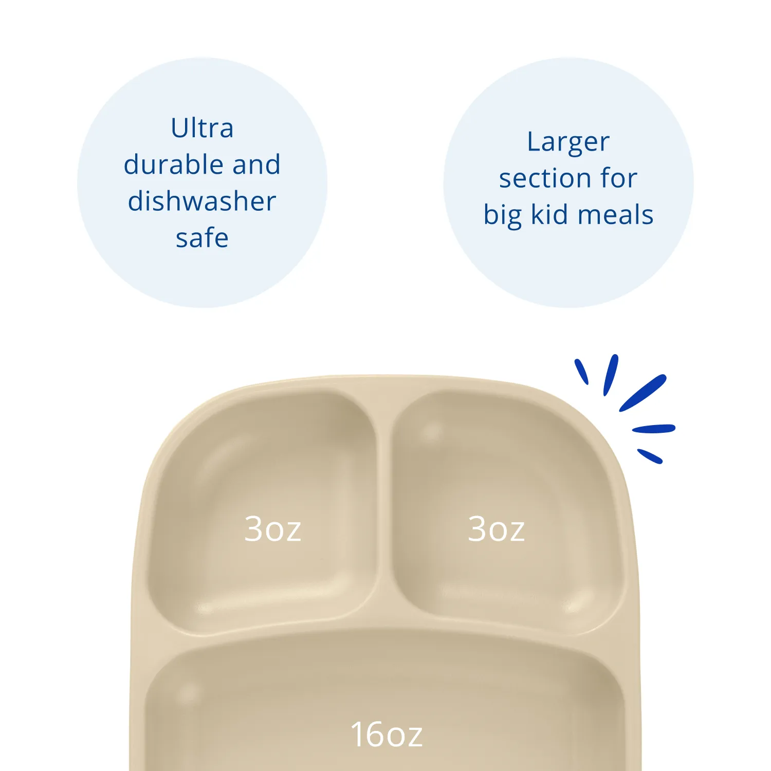 Divided Tray