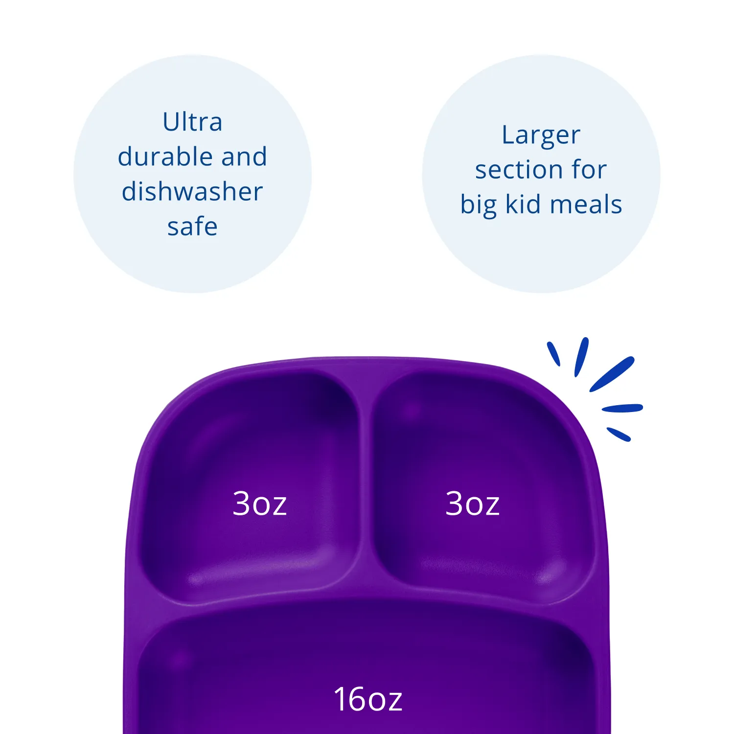 Divided Tray