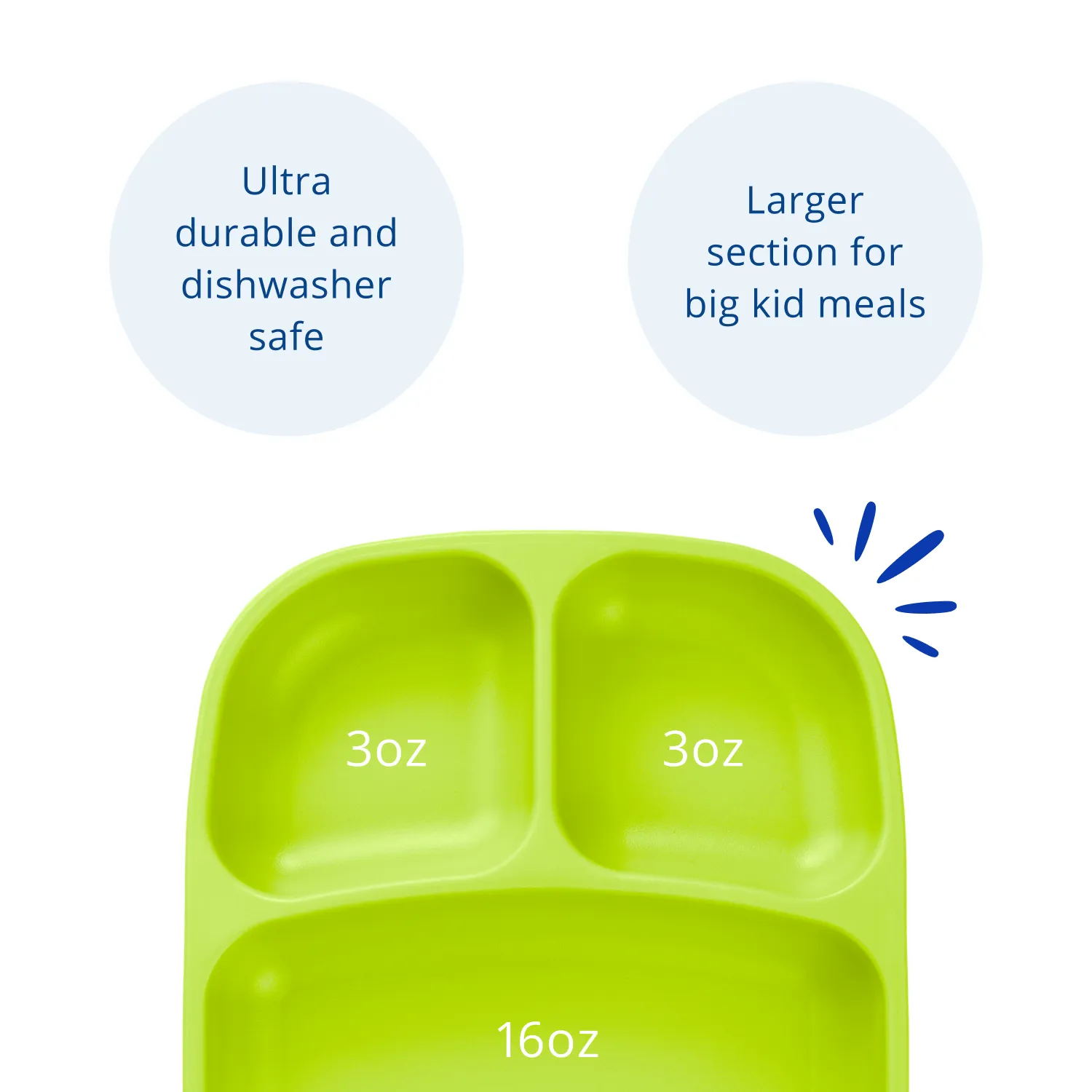 Divided Tray