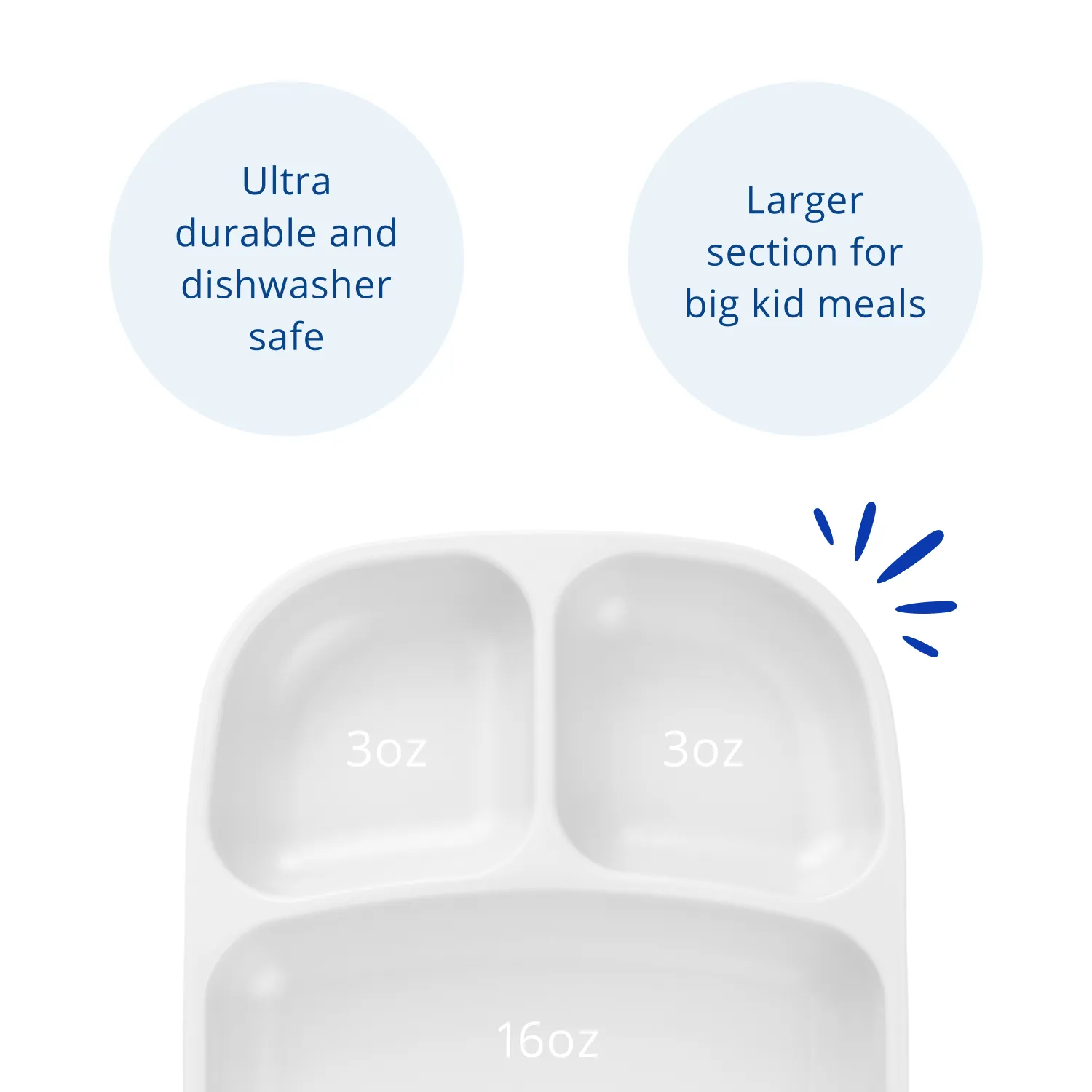 Divided Tray