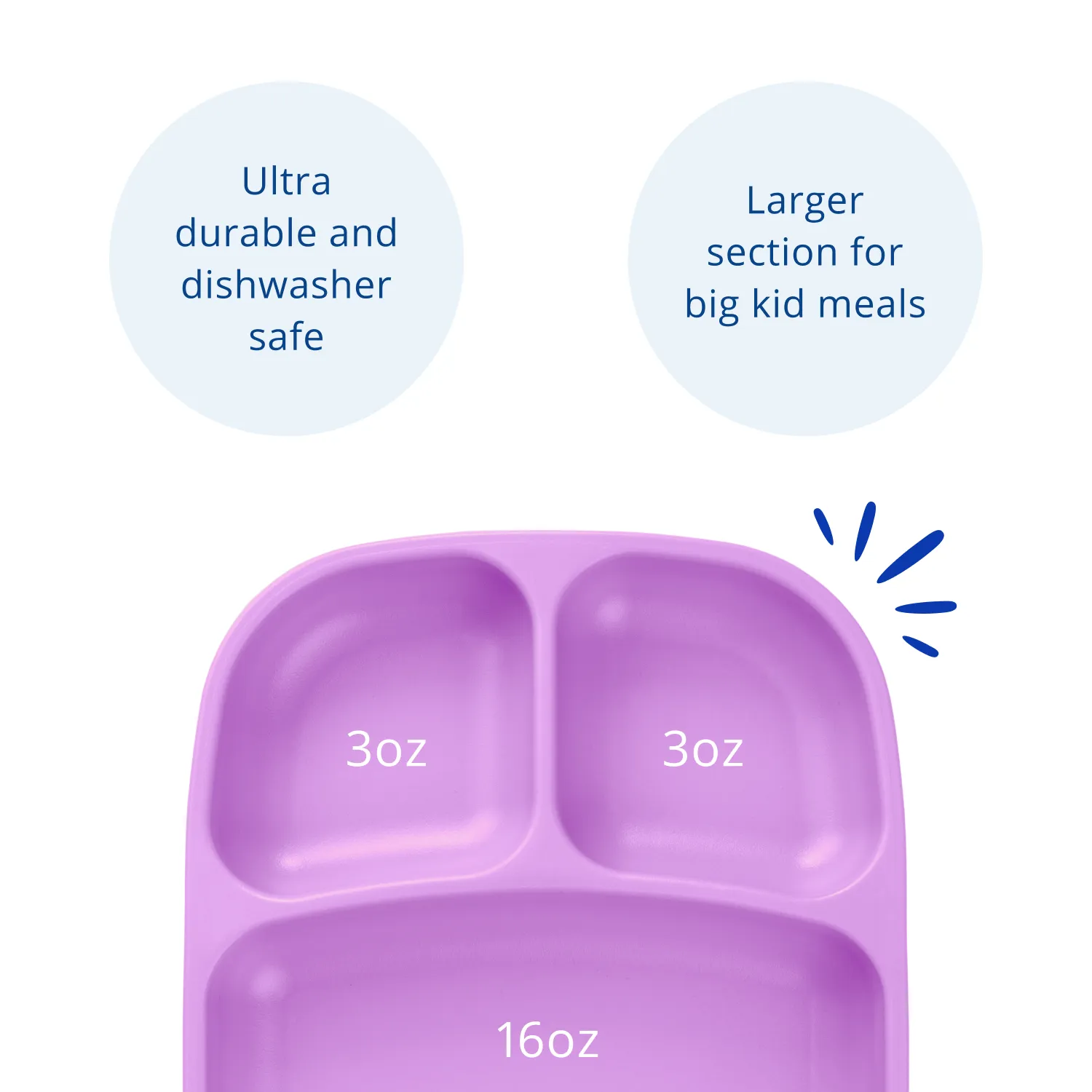 Divided Tray