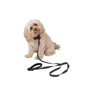 Dog Central Black Lead