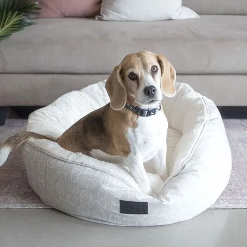 Dog Park Grey Collar