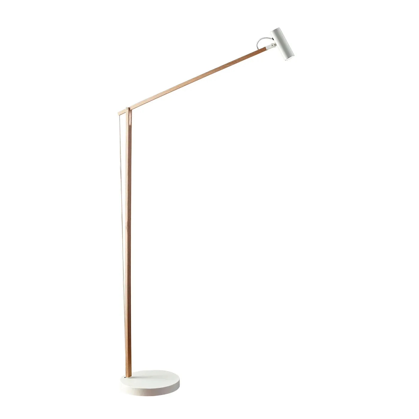 Egret Floor Task Lamp