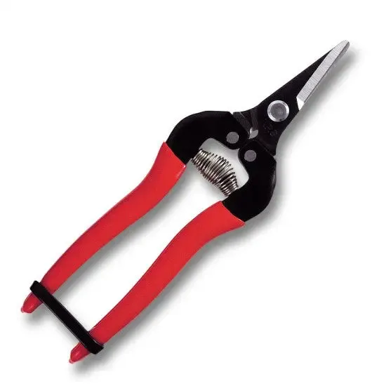 FRUIT PICKING SHEARS -  SHORT BLADE -  ROUND TIP -  170mm -  RED GRIP