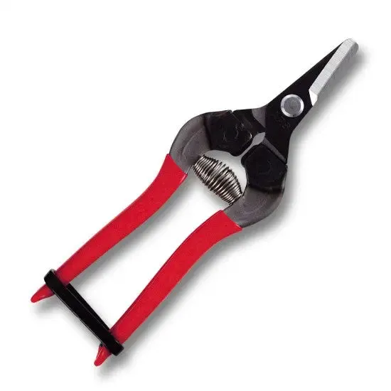 FRUIT PICKING SHEARS -  SHORT STRAIGHT BLADES - BLACK FINISH -  160mm -  RED GRIP