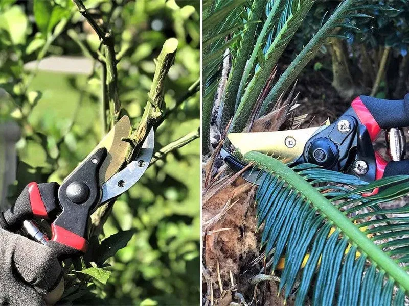 Garden Pruning Shears Garden Scissors