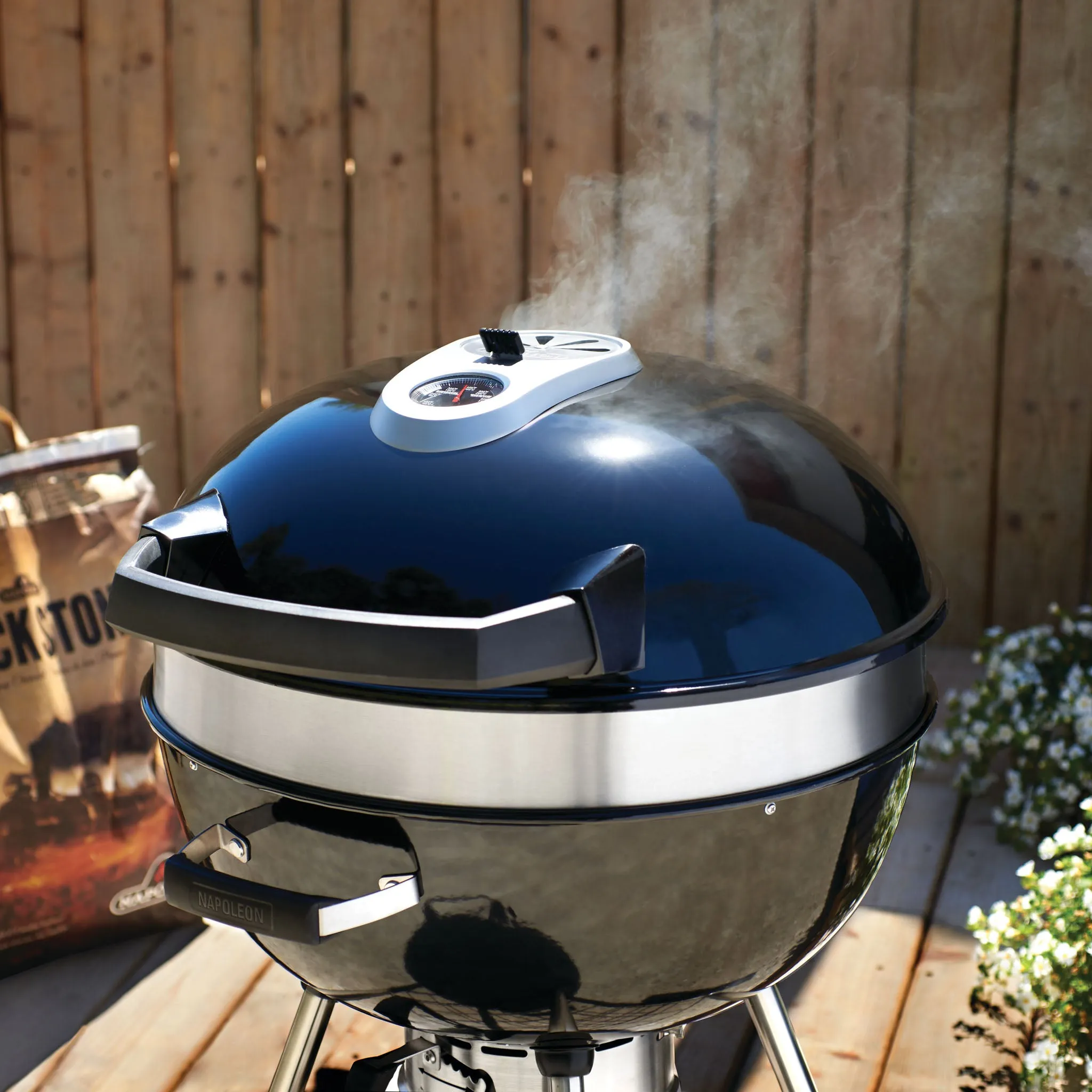 Napoleon Pro Charcoal Kettle Grill