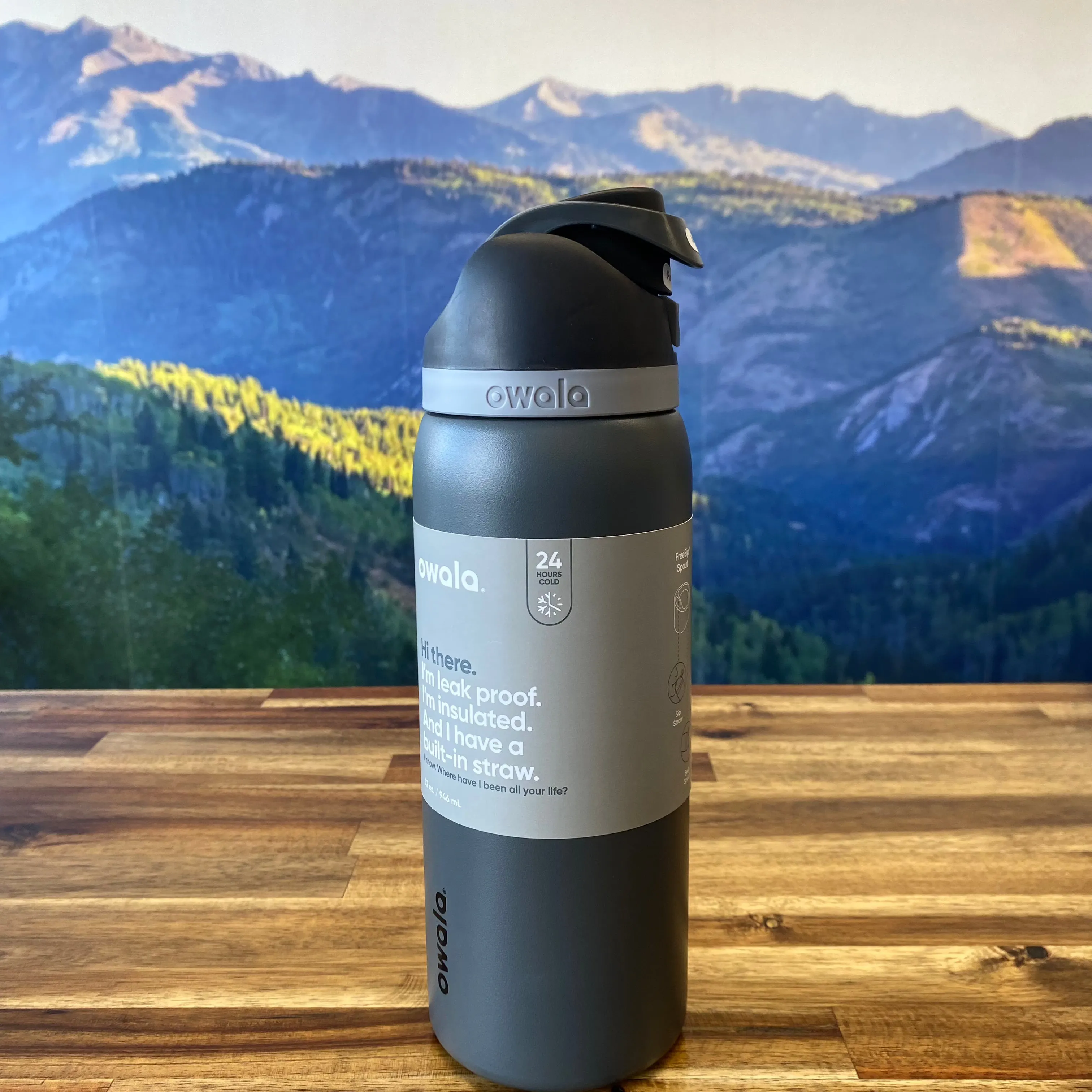 Owala® FreeSip® Insulated Stainless Steel Water Bottle BPA-Free, 32-Ounce (Grey Grizzly)