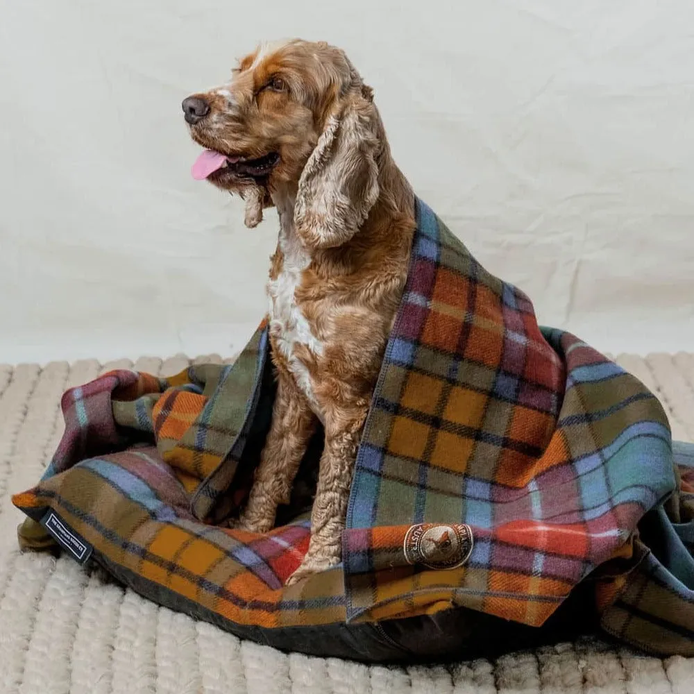 Pet Bed & Blanket Combo