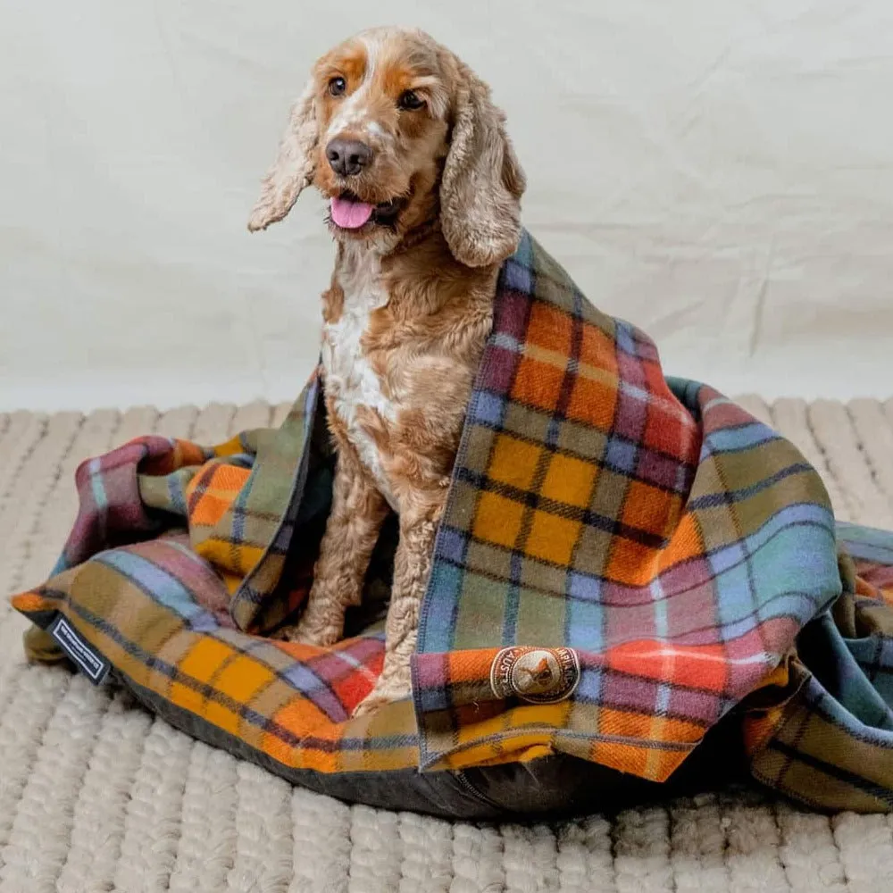 Pet Bed & Blanket Combo