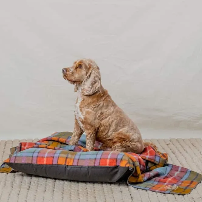 Pet Bed & Blanket Combo