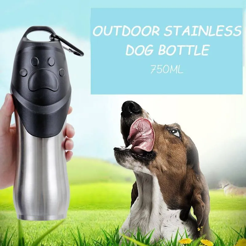 Portable Stainless Outdoor Pet Bottle