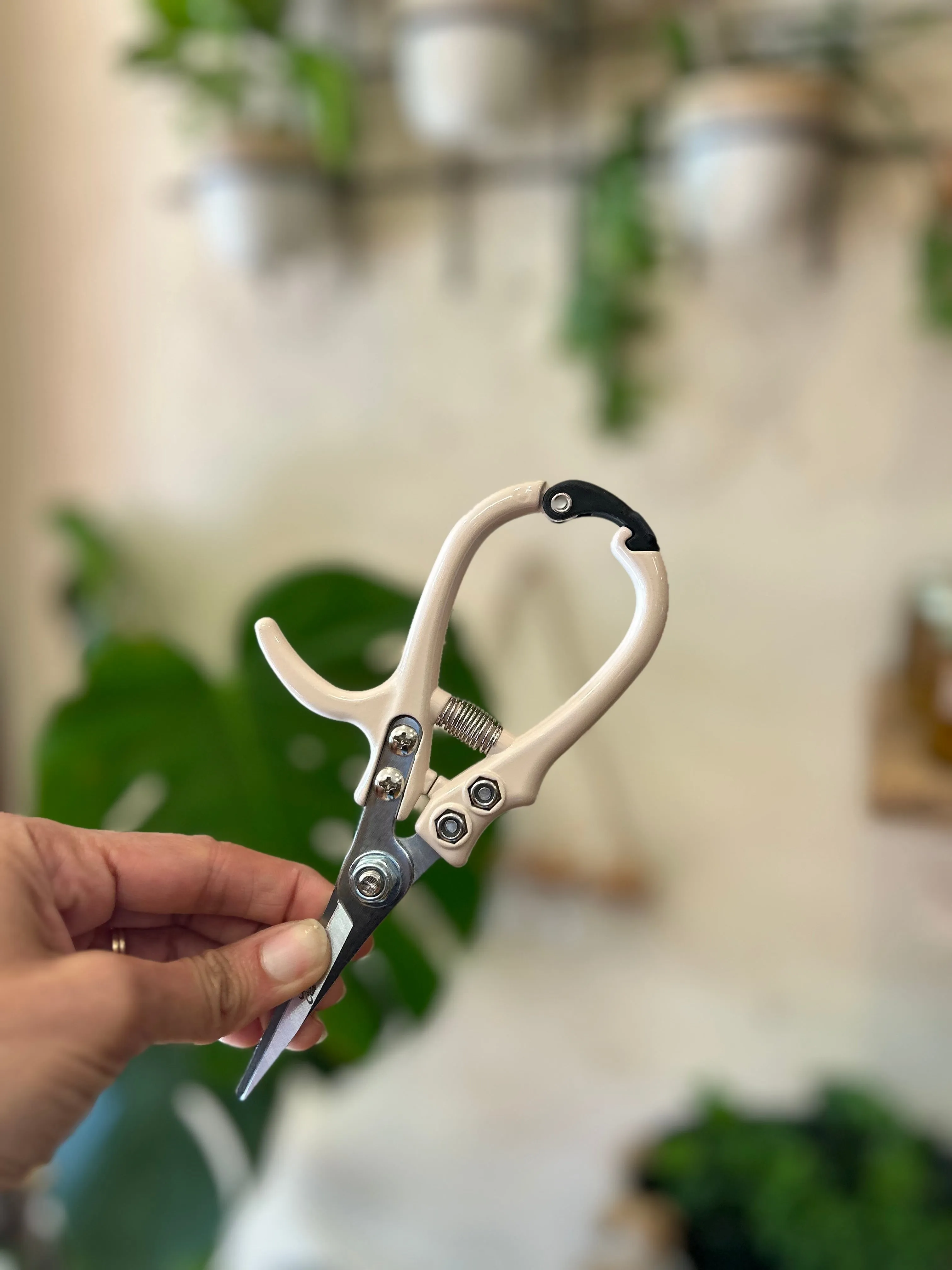 Pruning Shears