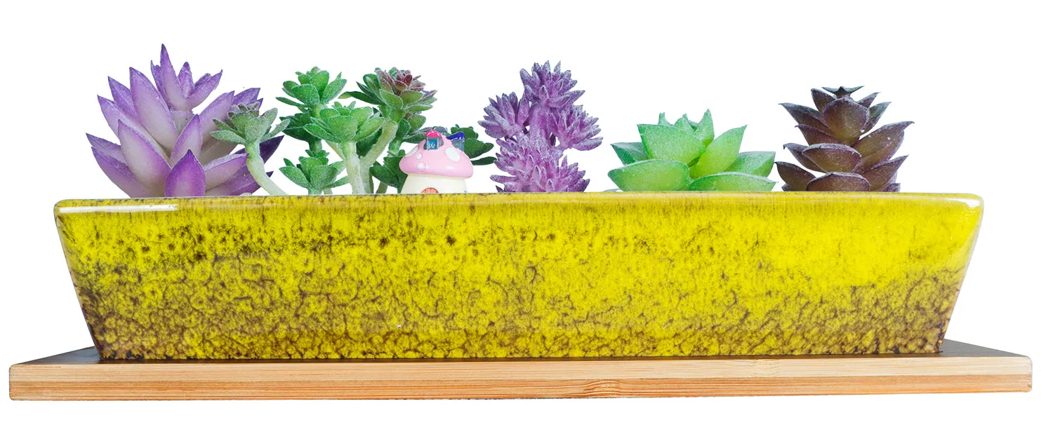 Succulent Planter Pots, 9.8 Inch Long Rectangle Ceramic Succulent Pots with Drainage, Small Flower Cactus Pot with Tray Bonsai Plant Window Box for Indoor/Outdoor Home Decor