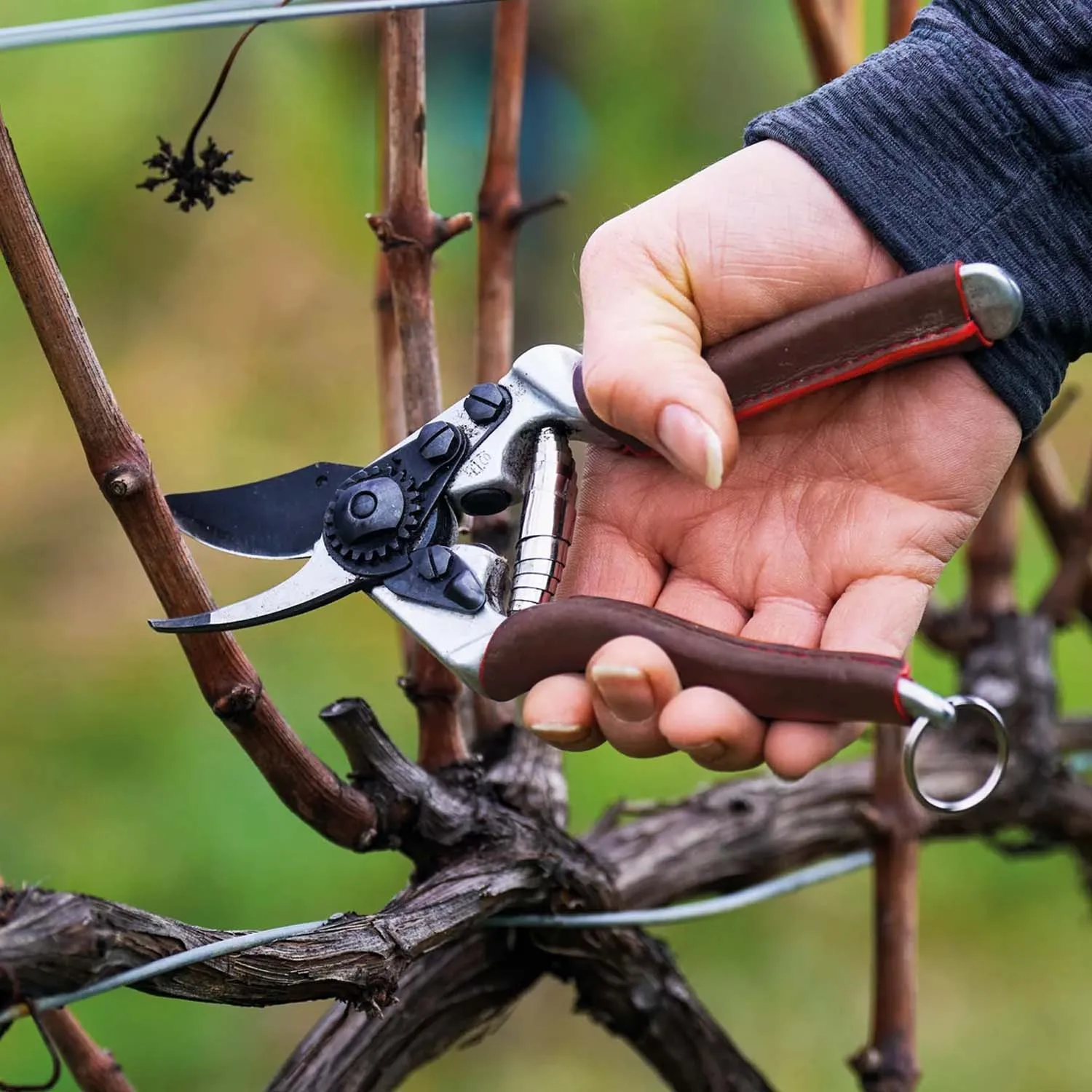 Swiss Made Felco #6 Elite Shears