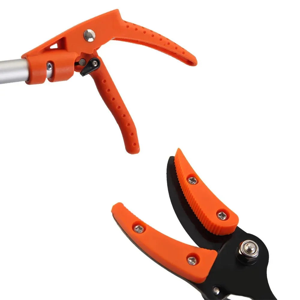 Tree Pruning Shears